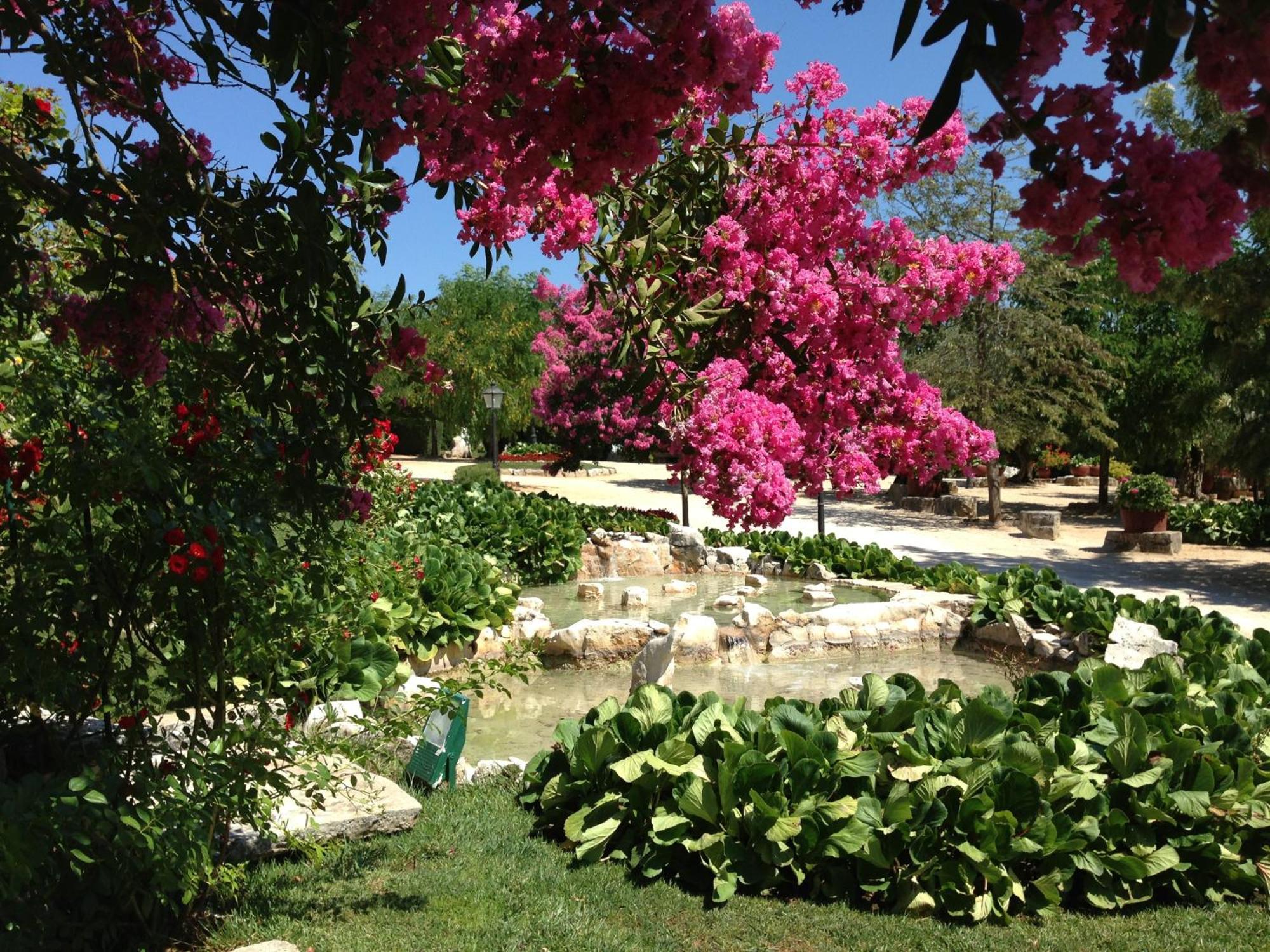 Otium Country House Alvorge Εξωτερικό φωτογραφία