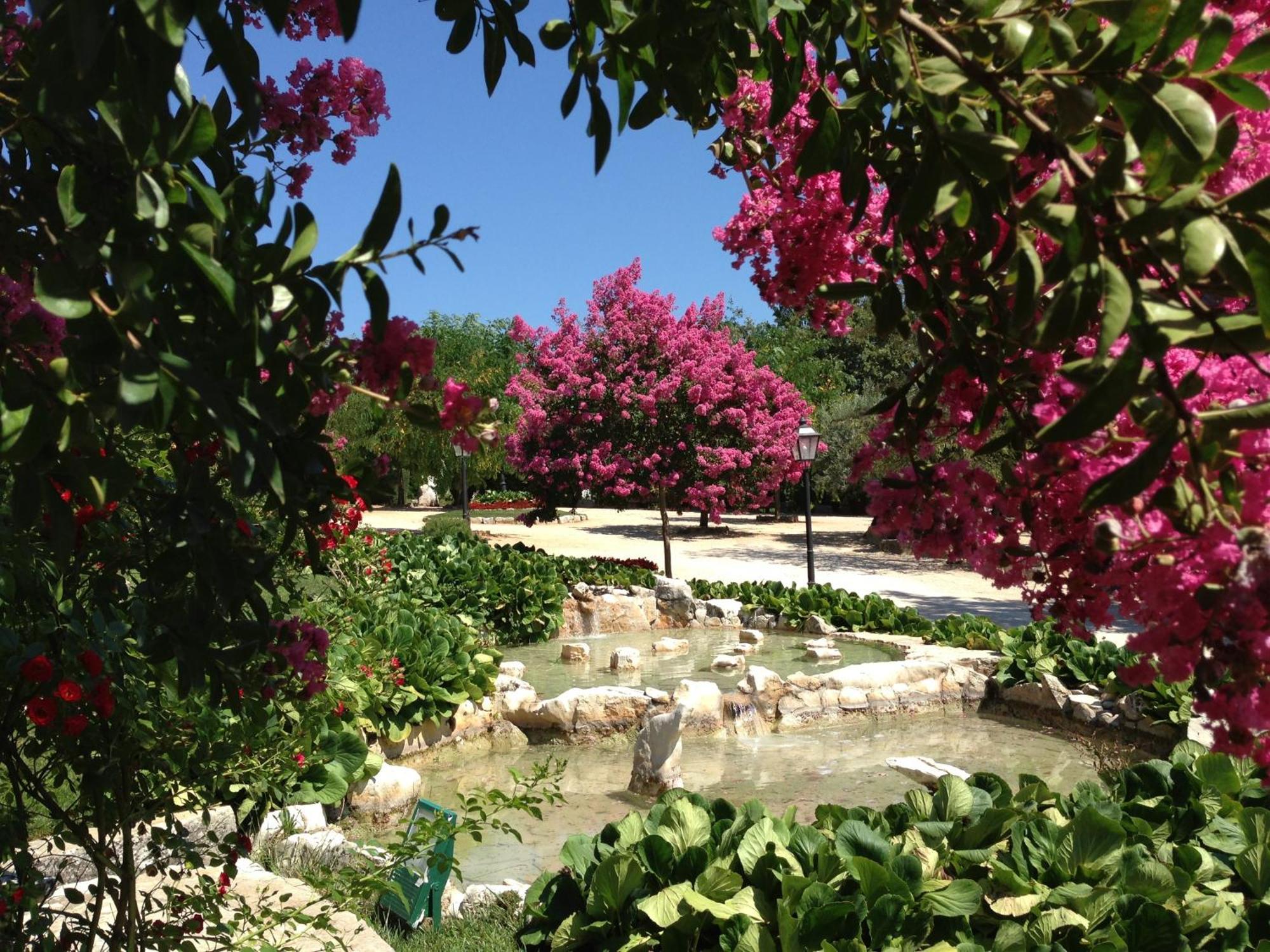 Otium Country House Alvorge Εξωτερικό φωτογραφία