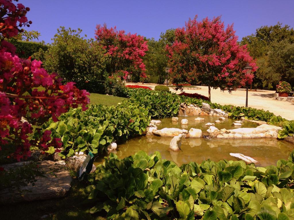 Otium Country House Alvorge Εξωτερικό φωτογραφία