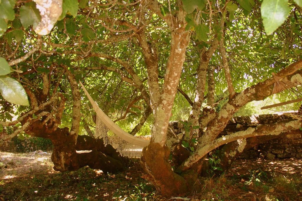 Otium Country House Alvorge Εξωτερικό φωτογραφία