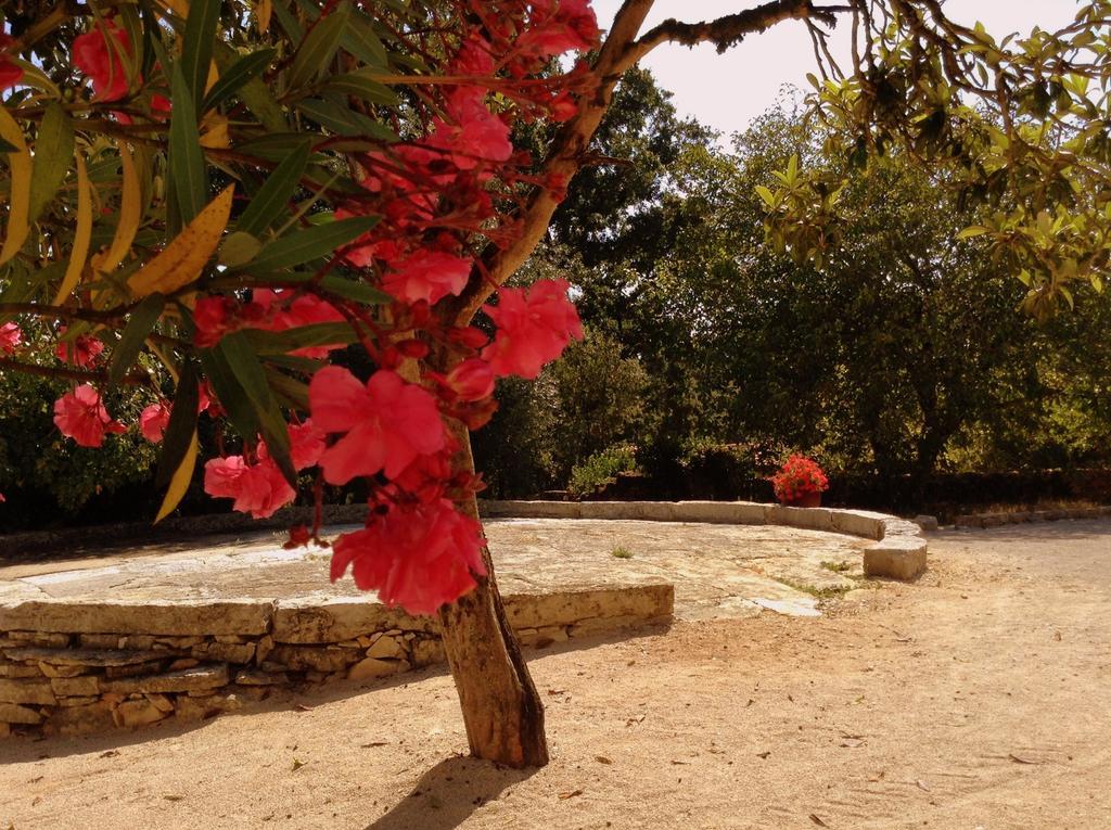 Otium Country House Alvorge Εξωτερικό φωτογραφία