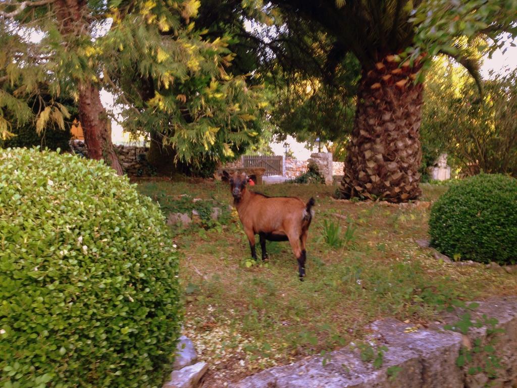 Otium Country House Alvorge Εξωτερικό φωτογραφία