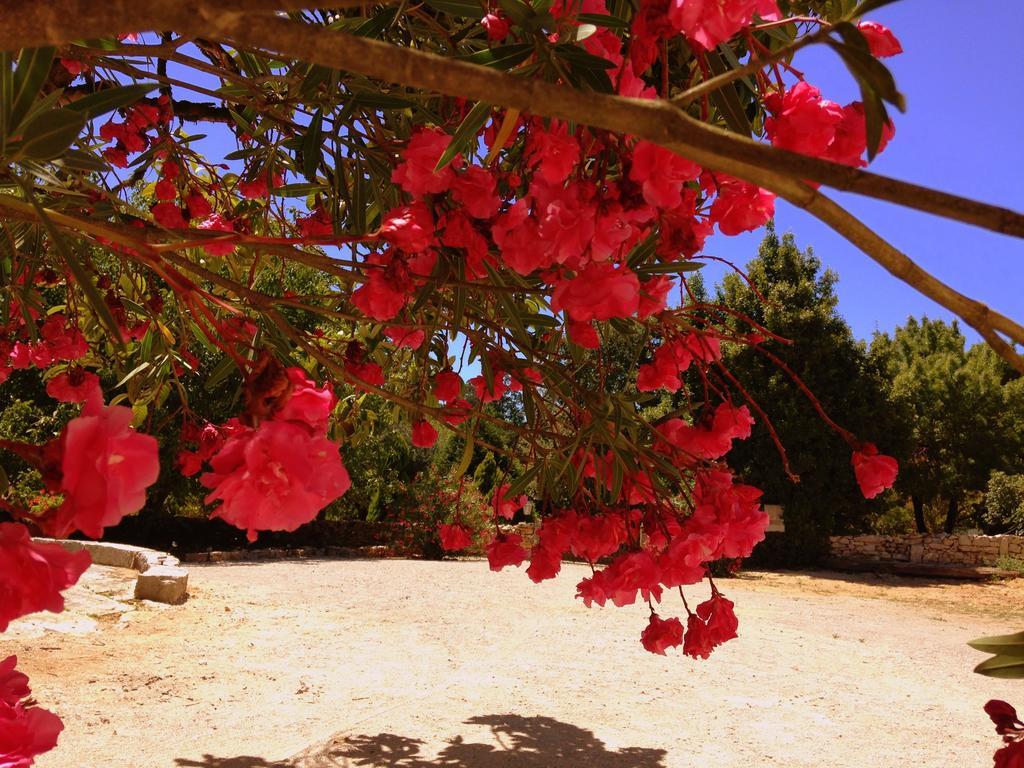 Otium Country House Alvorge Εξωτερικό φωτογραφία